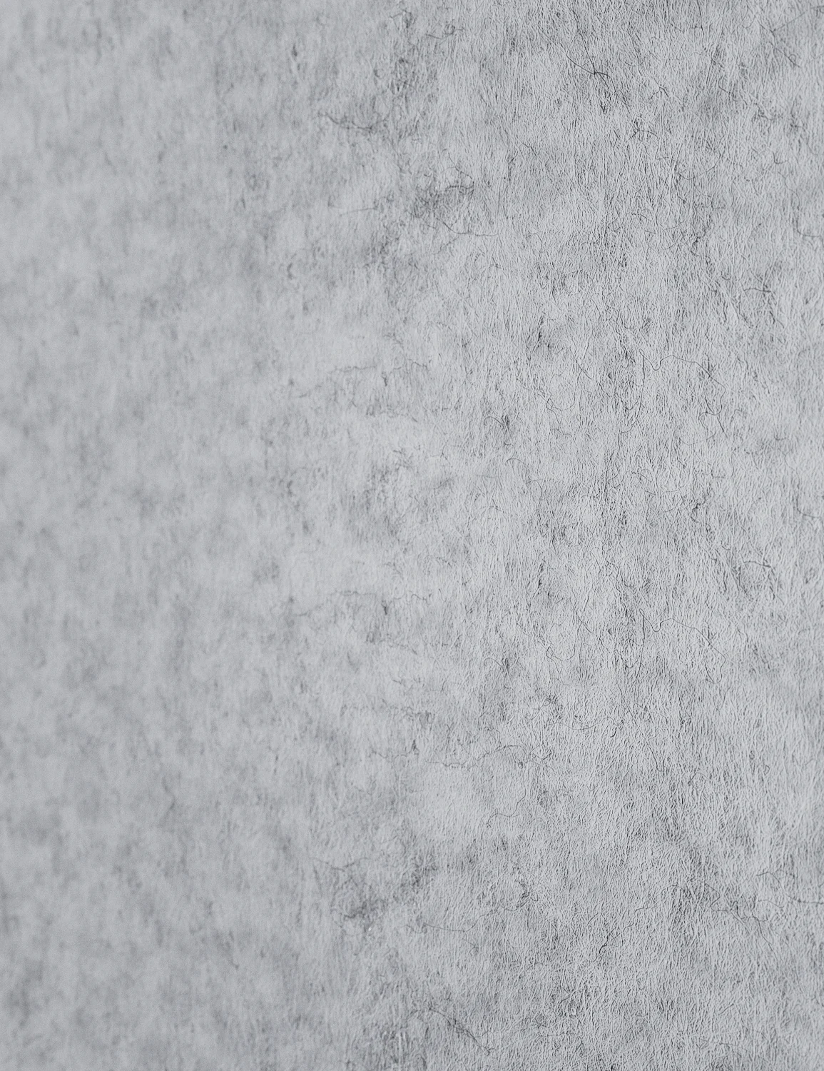 Filz - Image 17
